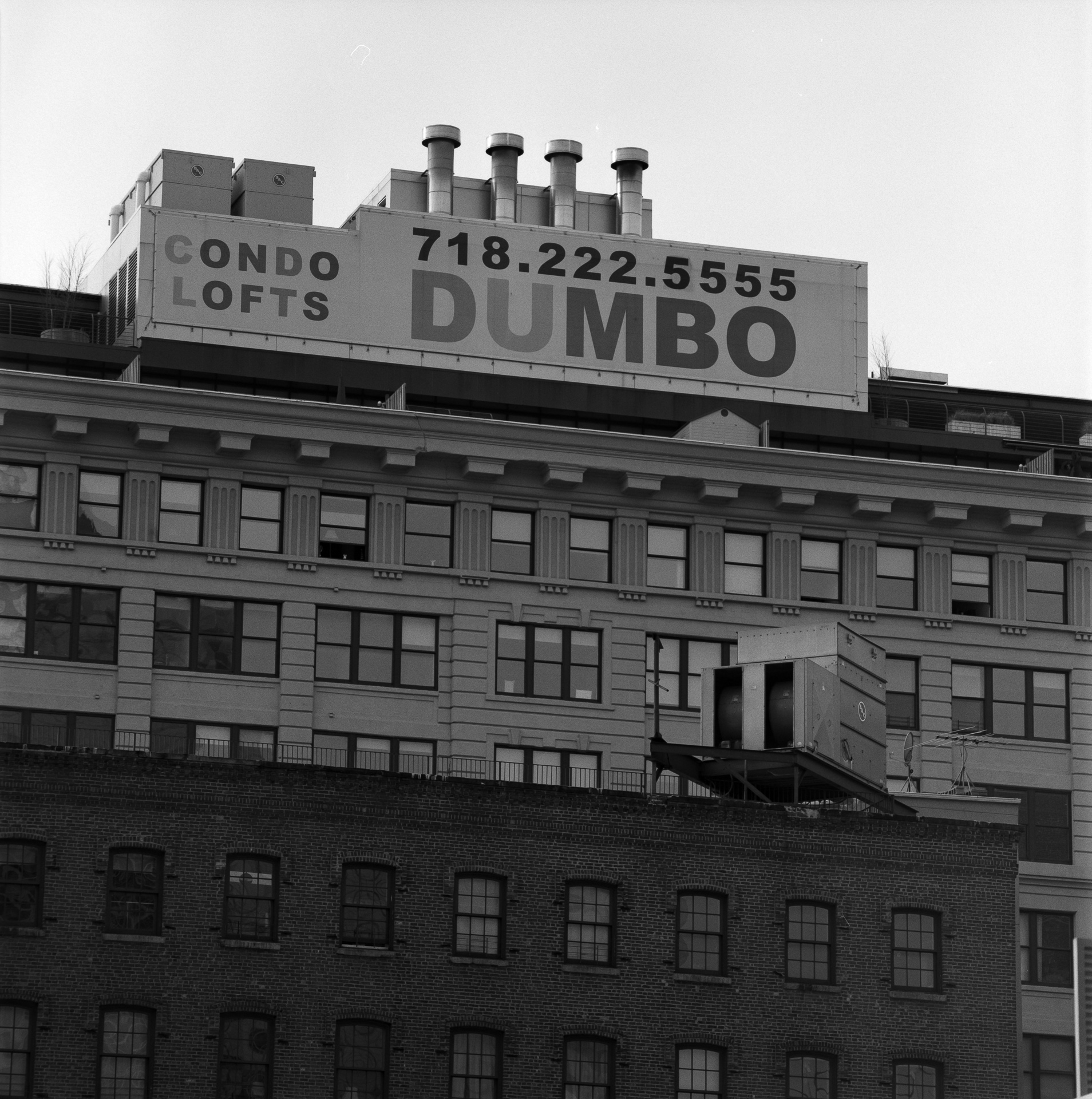 Dumbo Brooklyn Liberty Thermionics